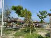 Apartamento Jacob's By Mamaia Nord