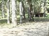 Hostal Apartments Nova Lika