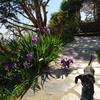 Bed & Breakfast Cortijo La Chaparra