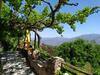 Bed & Breakfast Cortijo La Chaparra