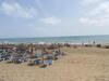 Apartment Near La Mata Beach
