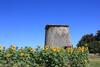 Bed & Breakfast Le Moulin Pastelier