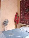 Islamabad Pak Hostel