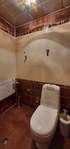David's Luxury Apartment