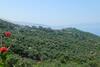 Bed & Breakfast Vila Panorama Piqeras