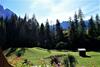 Apartamento Appartement Gr�nstein