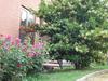 Hotel La Collina Di Collevalenza