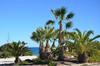 Playamarina II Aparthotel Cabo Roig