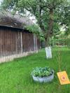 Villa Gospodarstwo Przy Drodze.