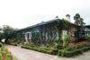 Hotel Singtom Tea Resort