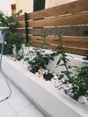 Apartamento Central Studio 2