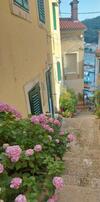 Modern And Cosy Apartment Ivana With A Beautiful Seaview