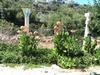 Gizli Vadi Camping&pension