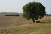 Agroturismo Il Campetto Country House