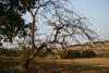 Agroturismo Il Campetto Country House