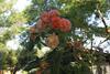 Agroturismo Il Campetto Country House
