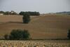 Agroturismo Il Campetto Country House