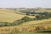 Agroturismo Il Campetto Country House