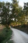 Agroturismo Il Campetto Country House
