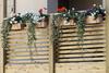 Bed & Breakfast Podere Castagne'