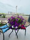 Apartament Mamaia Clasic