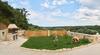 Villa Olive Valley