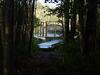 Acadia Sunrise Motel