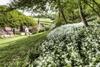 B&B Aux Quatre Bonniers