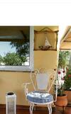 Amaryllis Sweet Home