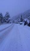 Hostal Gasthof Papillon