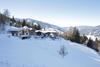 Chalet Alm Planai