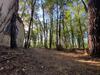 Magnifique Villa Au Calme