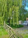 The Little Cottage - Peaceful, Dog Friendly In 3 Acres