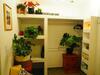 Apartamento Cozy Place With Private Palapa Level