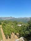 Apartamento House Boskovic - Peaceful & Relaxing