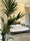 Hostal Calua Luxury Rooms