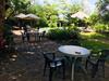 Hostal Green Tree Lodge