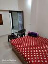 Hotel Pop 91528 New Lace Palace