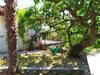 Lili House
