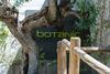 Apartamento Botanic By Taylor Wimpey