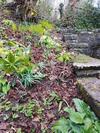 The Annexe @granny?s Apple Lodge
