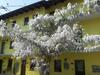 Agroturismo Agriturismo Tra Serra E Lago