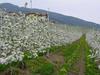Agroturismo Agritur Monte Pin