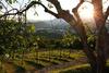 Agroturismo Il Cavaliere