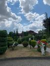 Hotel Diament