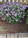 Cute And Cosy 2 Bed Cottage