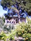Bed & Breakfast El Cortijo Del Pino