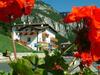 Apartamento Casa Endrizzi