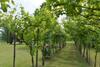 Bed & Breakfast Casale Santa Rita