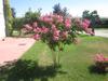 Agroturismo Azienda Agrituristica Buttieri Giuseppe